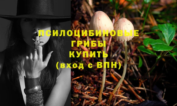 а пвп мука Арсеньев
